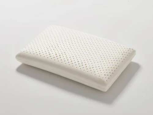 Natural Latex Pillow